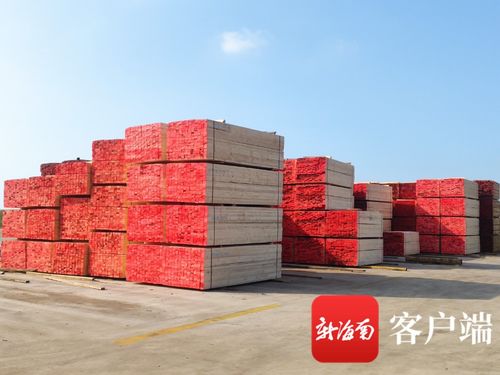 洋浦 海南中顺国际木材产业园将打造全省首家大宗进口木材产品交易集散地